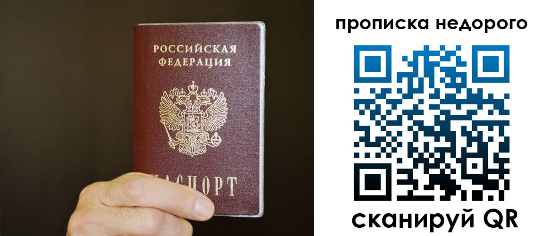 прописка в квартире в Шилке